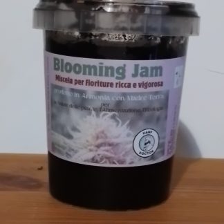 BLOOMING JAM- 1 confezione -